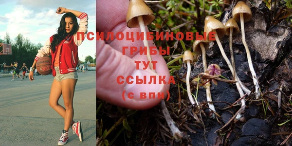 кристаллы Алексин