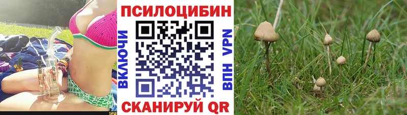 Псилоцибиновые грибы ЛСД  Новая Ладога 