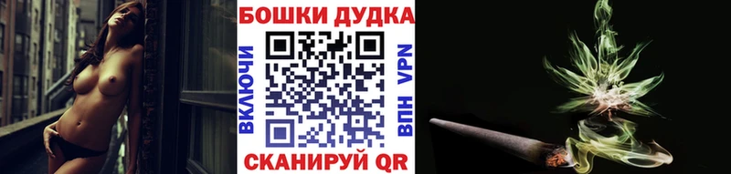 Марихуана план  Новая Ладога 